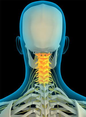 cervical-spine-anatomy