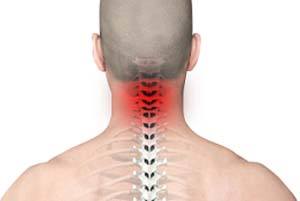 Spine